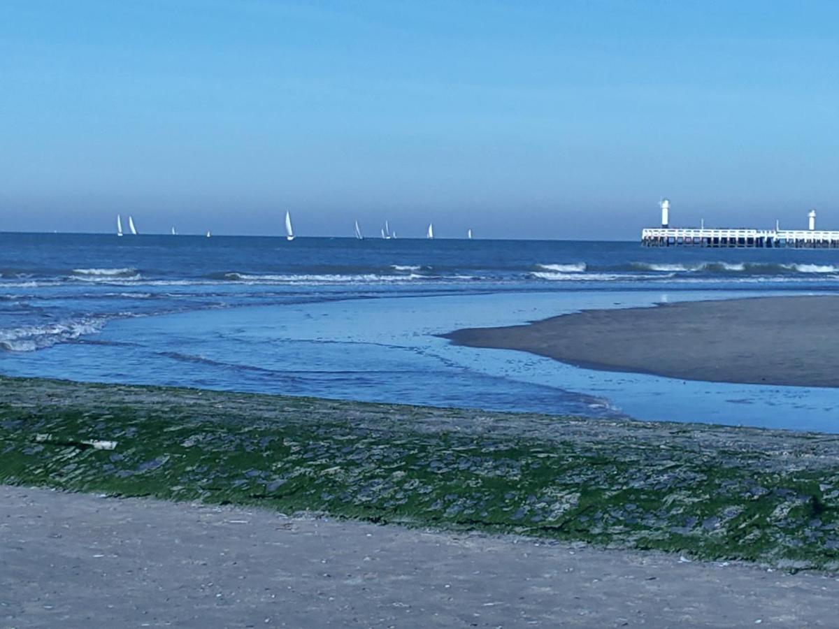 Studio Havenzicht Nieuport Extérieur photo